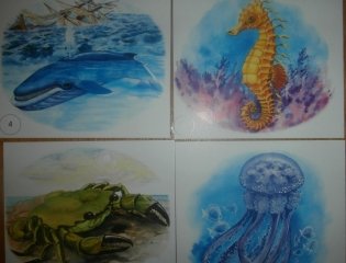 Морские животные. Развивающие карточки фото книги 4
