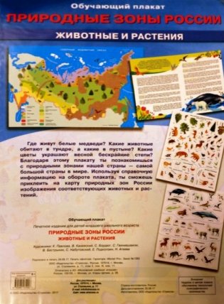 Обучающий плакат "Природные зоны России. Животные и растения" фото книги 2