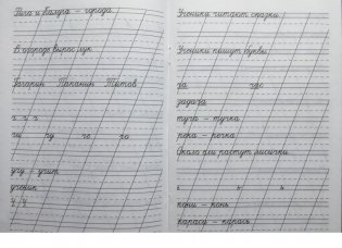 Классические прописи по русскому языку. Пропись № 2 фото книги 3