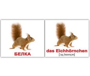 Набор карточек "Вундеркинд. Немецкий язык. Дикие животные" (20 штук) фото книги