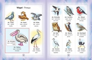 Немецко-русский визуальный словарь для детей фото книги 8
