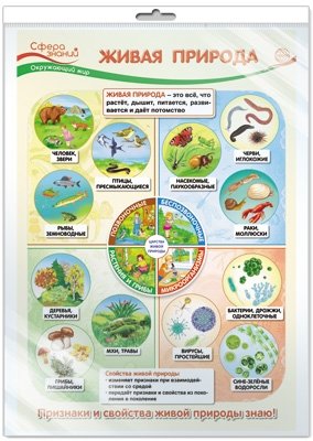 Плакат А3 "Живая природа. Окружающий мир в начальной школе" (в пакете) фото книги