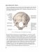 Атлас анатомии человека фото книги маленькое 12