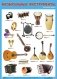 Музыкальные инструменты народов мира. Плакат фото книги маленькое 2