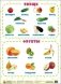 Овощи и фрукты, шпаргалка для малышей фото книги маленькое 2