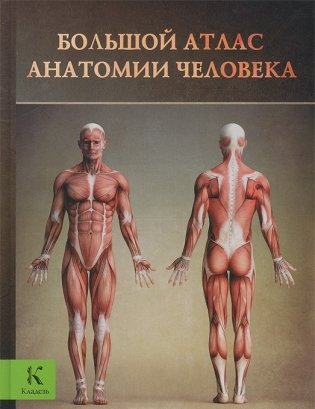 Большой атлас анатомии человека фото книги