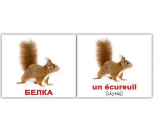Набор карточек "Вундеркинд. Французский язык. Дикие животные" (20 штук) фото книги