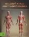 Большой атлас анатомии человека фото книги маленькое 2