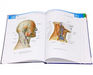Sobotta. Атлас анатомии человека. В 2-х томах. Том 1: Голова. Шея. Верхняя конечность фото книги 2