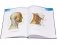Sobotta. Атлас анатомии человека. В 2-х томах. Том 1: Голова. Шея. Верхняя конечность фото книги маленькое 3