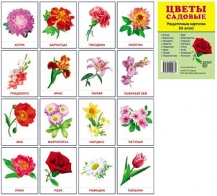 Демонстрационные картинки Супер. Цветы садовые. 16 раздаточных карточек с текстом фото книги