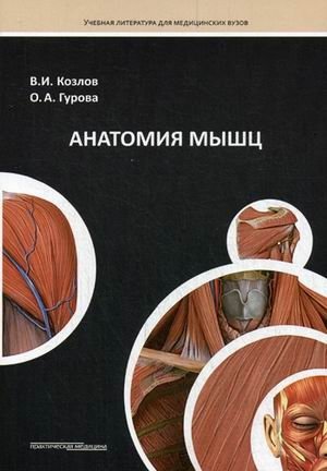 Анатомия мышц. Учебное пособие фото книги