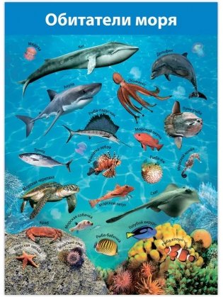 Комплект плакатов "Животные мира" фото книги 3