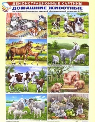 Демонстрационные картины "Домашние животные" фото книги
