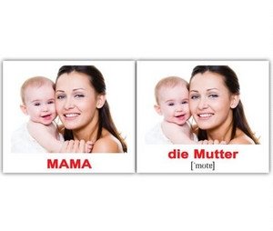 Набор карточек "Вундеркинд. Немецкий язык. Семья" (20 штук) фото книги