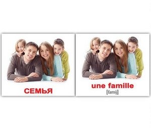 Набор карточек "Вундеркинд. Французский язык. Семья" (20 штук) фото книги