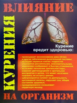Профилактика курения. Комплект из 4 плакатов с методическим сопровождением. ФГОС фото книги 4