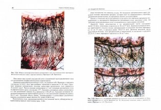 Функциональная и клиническая анатомия органа зрения фото книги 2