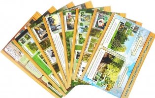Природные зоны: смешанные и широколиственные леса, тайга. Комплект из 8 плакатов с методическим сопровождением. ФГОС фото книги 2