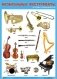 Музыкальные инструменты (эстрадно-симфонические) фото книги маленькое 2