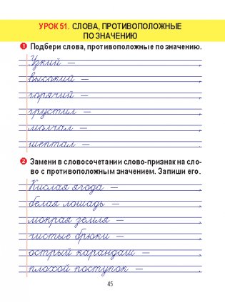 Русский язык. Тетрадь для закрепления знаний. 2 класс фото книги 5