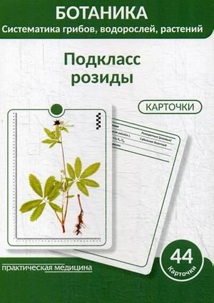Ботаника. Систематика грибов, водорослей, растений. Блок 3: Подкласс розиды. 44 гербарные карточки фото книги