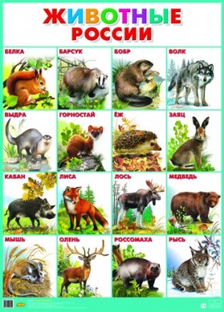 Животные России. Плакат для детей дошкольного и младшего школьного возраста фото книги