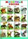Животные России. Плакат для детей дошкольного и младшего школьного возраста фото книги маленькое 2
