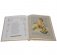 Конек-Горбунок (золотой обрез) фото книги маленькое 3