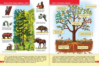 Экология для малышей. Для занятий с детьми от 6 до 7 лет. Книжка с игрой и наклейками фото книги 2
