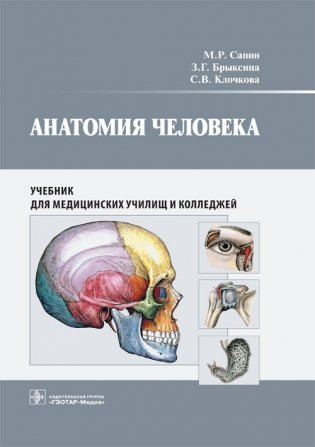 Анатомия человека фото книги