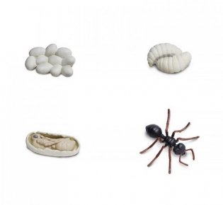 Набор фигурок "Жизненный цикл муравья" фото книги 2