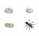 Набор фигурок "Жизненный цикл муравья" фото книги маленькое 3
