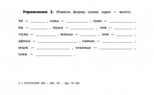 Русский язык. Сборник упражнений для начальной школы фото книги 5