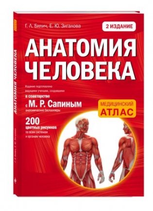 Анатомия человека фото книги